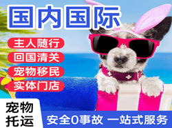 福成航空空运国际宠物托运 【国